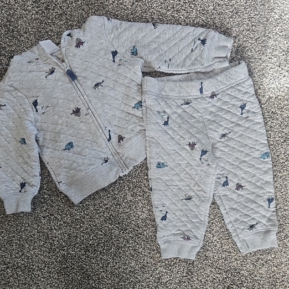 Gray Quilted Dinosaur Print Jacket and Pants Set